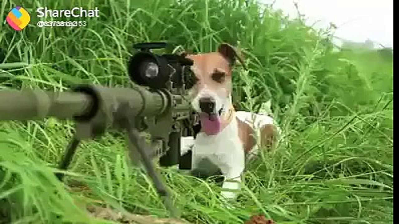 Very funny video