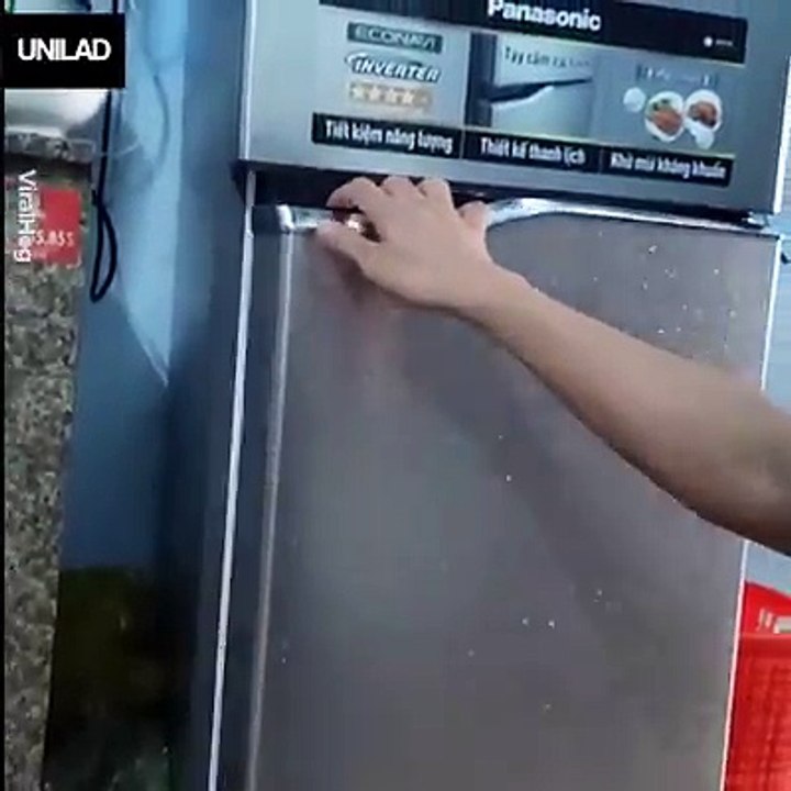 Just a couple of polar bears cooling down in the fridge   ViralHog