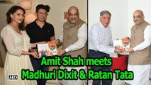 Amit Shah meets Madhuri Dixit, Ratan Tata for 'Sampark for Samarthan'