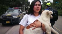 Estudiantes de veterinaria asisten a perros rescatados en San Miguel Los Lotes
