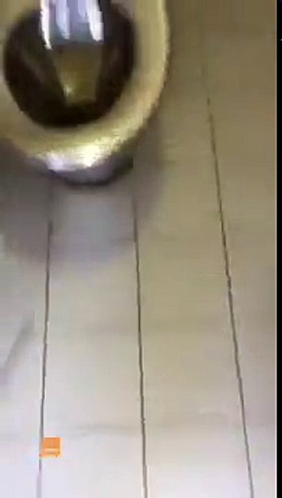 Man Caught Secretly Filming Women in Burleigh Heads Public Bathroom