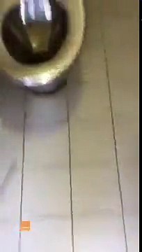 Man Caught Secretly Filming Women in Burleigh Heads Public Bathroom