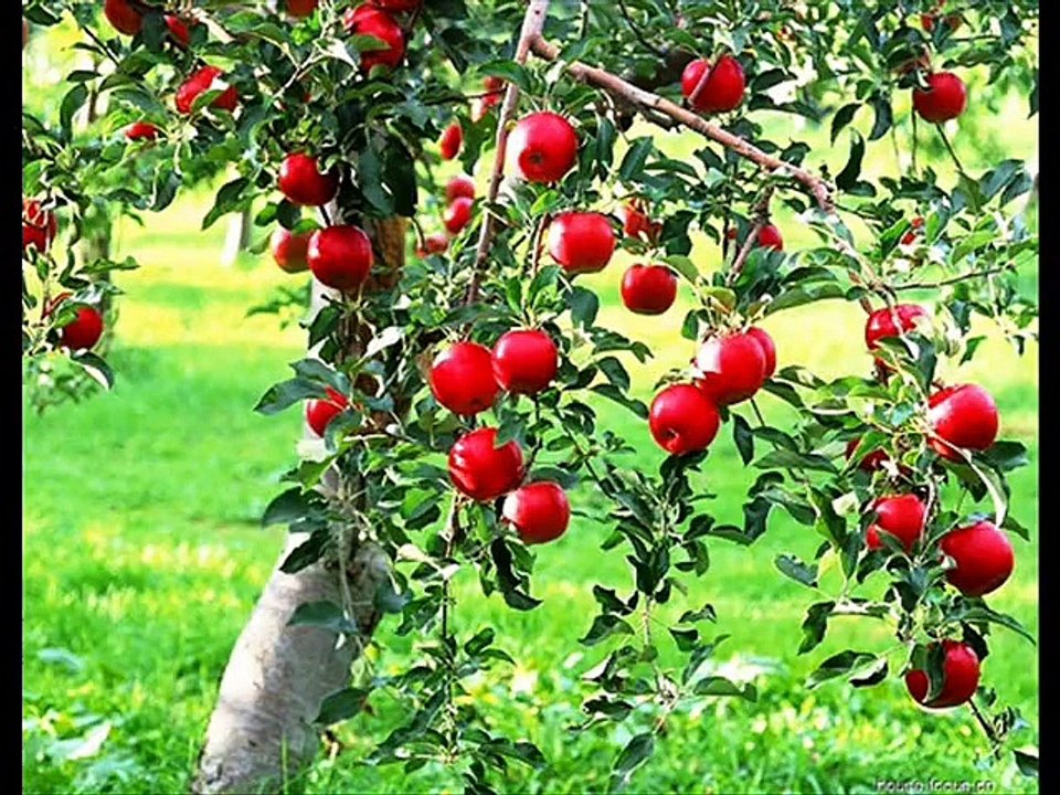 Adı Aşk Olur Şiiri;Nilgün Zahiroğlu