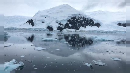 Poluição no Antártico preocupa Greenpeace