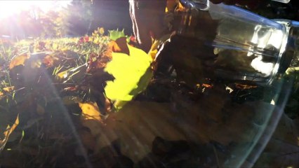 Blueberry Smoothie - You Suck at Cooking (episode 23)