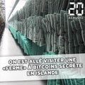 On est allé visiter une «ferme» à bitcoins secrète en Islande