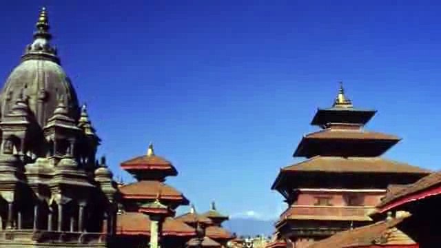 LUẬT NHÂN QUẢ CHẲNG BAO GIỜ TRẬT TRỒNG CÂY GÌ THÌ MỌC CÂY NẤY