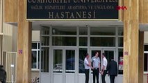 Türkiye'nin bitmeyen 'kene' kâbusu