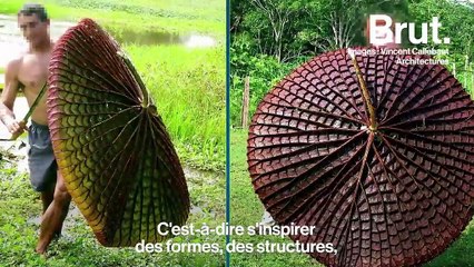 VIDÉO. Bientôt une ville au milieu de l'océan ? "C'est un projet fou, mais qu'on peut réaliser"