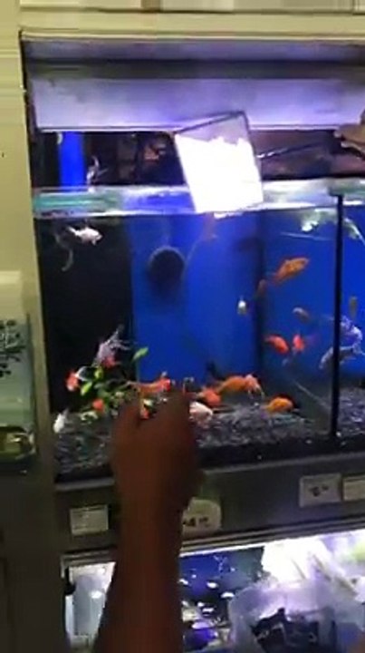 Böyle şaka olmaz diyeceksiniz