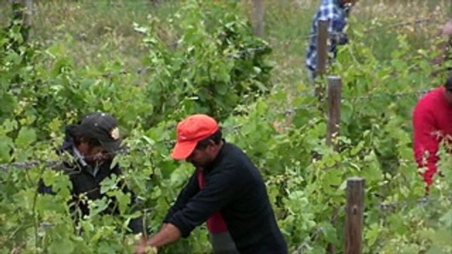 Projeto de vinhos em Foz Côa em perfeito equilíbrio ambiental