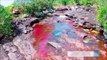 Voici la rivière Arc-en-Ciel : magnifique