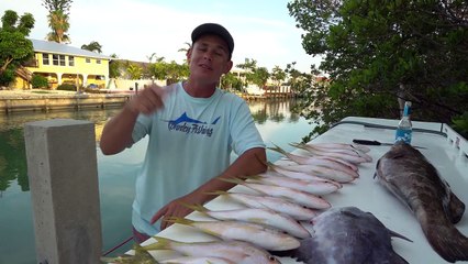 Download Video: EASIEST Fish to Catch in Florida Keys! Catch Clean Cook- Yellowtail Snapper