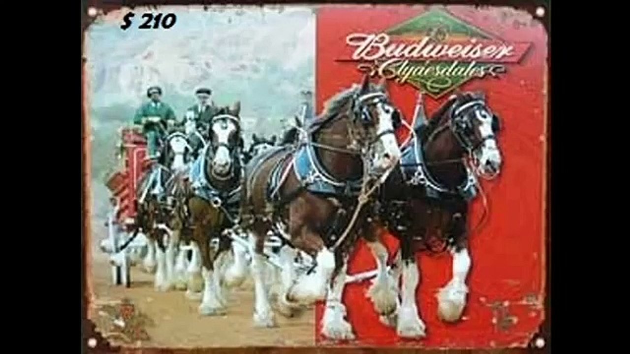 carteles de chapa - cerveza-Documentos-Historia Arqueologia-Museocoleccionista