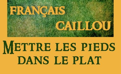 Français caillou / Définition du jour : "Mettre les pieds dans le plat"