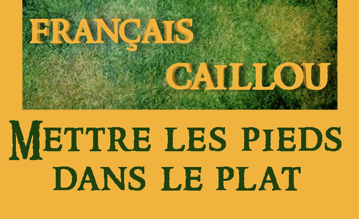 Français caillou / Définition du jour : "Mettre les pieds dans le plat"