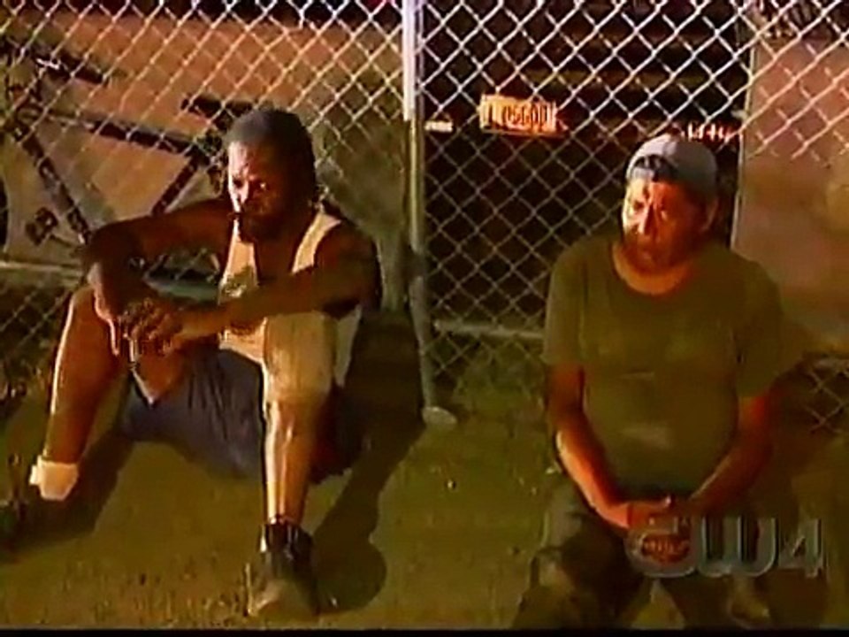 Cops S15E24