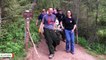 Heartwarming Image Shows Rescue Team Carrying Dehydrated 120-Pound Dog Down Mountain