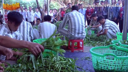 Vũ Ngọc Thắng: Trùm ma tuý trốn nã vẫn tập hợp bạn tù nuôi mộng “bá chủ”
