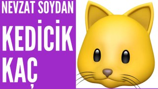 KEDİCİK KAÇ KAÇ (ÇİZGİ FİLM)