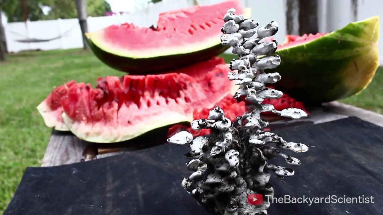 Il coule de l'aluminium en fusion dans une pastèque et en sort une oeuvre d'art magnifique