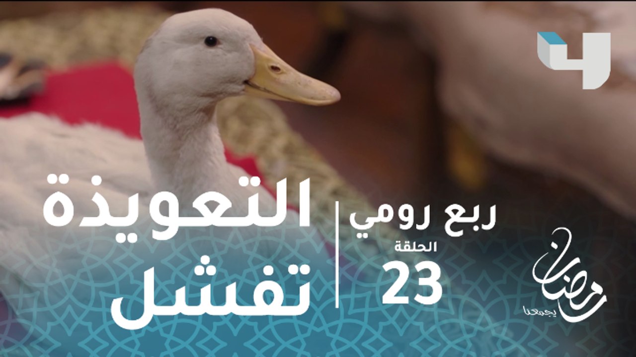 ربع رومي - الحلقة 23 - بيومي فؤاد يتحول من سلحف...