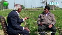 Renowed Agricultural expert, Dr. Avdesh Shukla explains tomato cultivation by referring to a field located nearby Krishi Vigyan Kendra