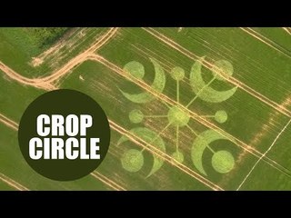Mysterious travellers visited the English countryside and left behind the biggest crop circle