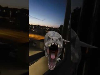 Dinosaurier In Halmstad(2)
