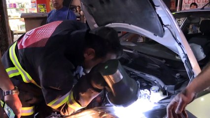 Otomobilde mahsur kalan kediye kurtarma operasyonu - BURDUR