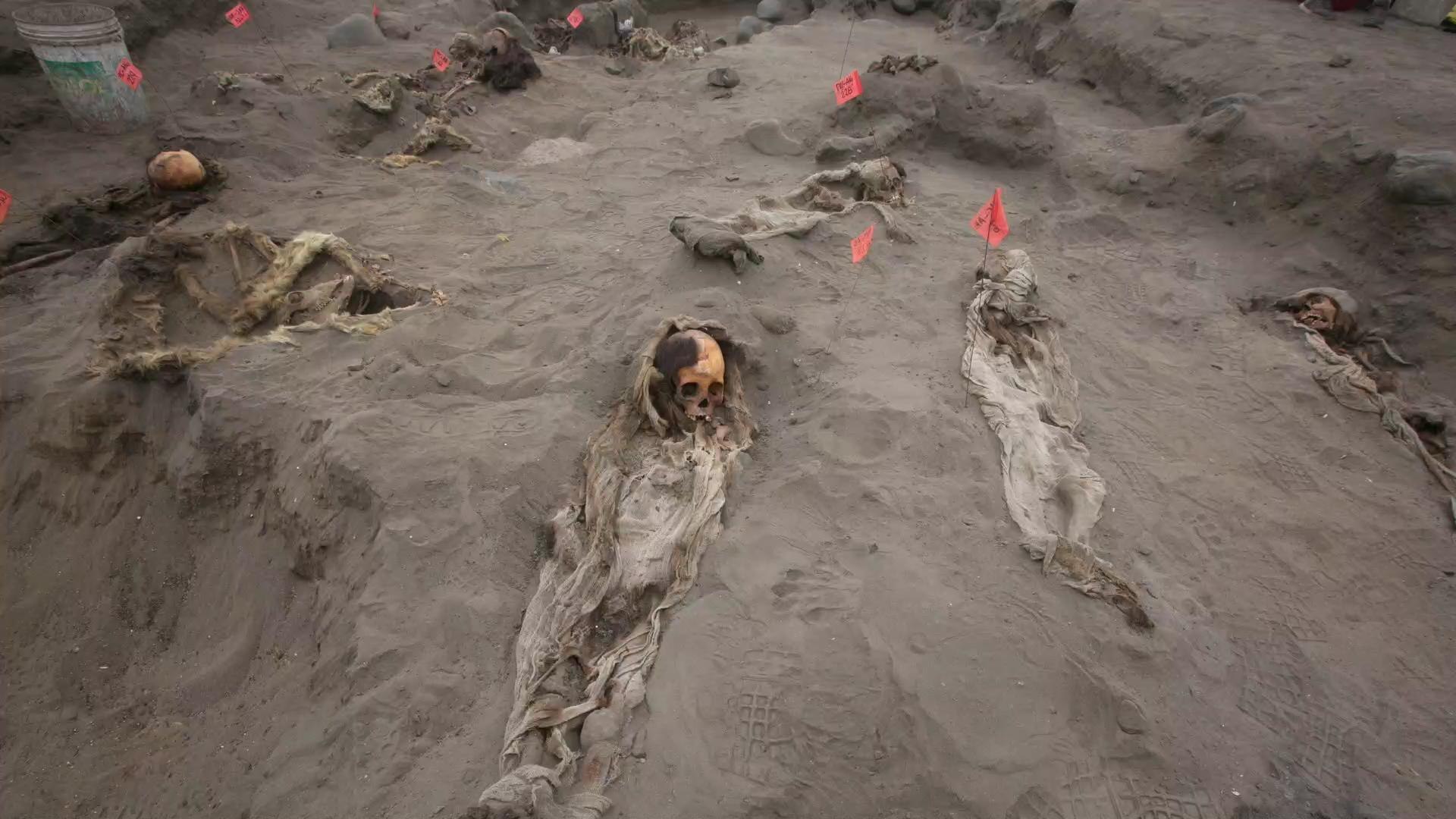 ⁣56 Child Skeletons Found In Peru Believed To Be Part Of Ancient Ritual Sacrifice