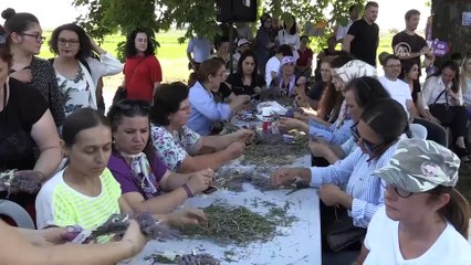 'Lavanta Tarla Günleri' - EDİRNE