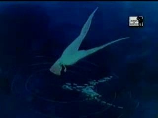 Aquarela  Toquinho  Faber-Castell