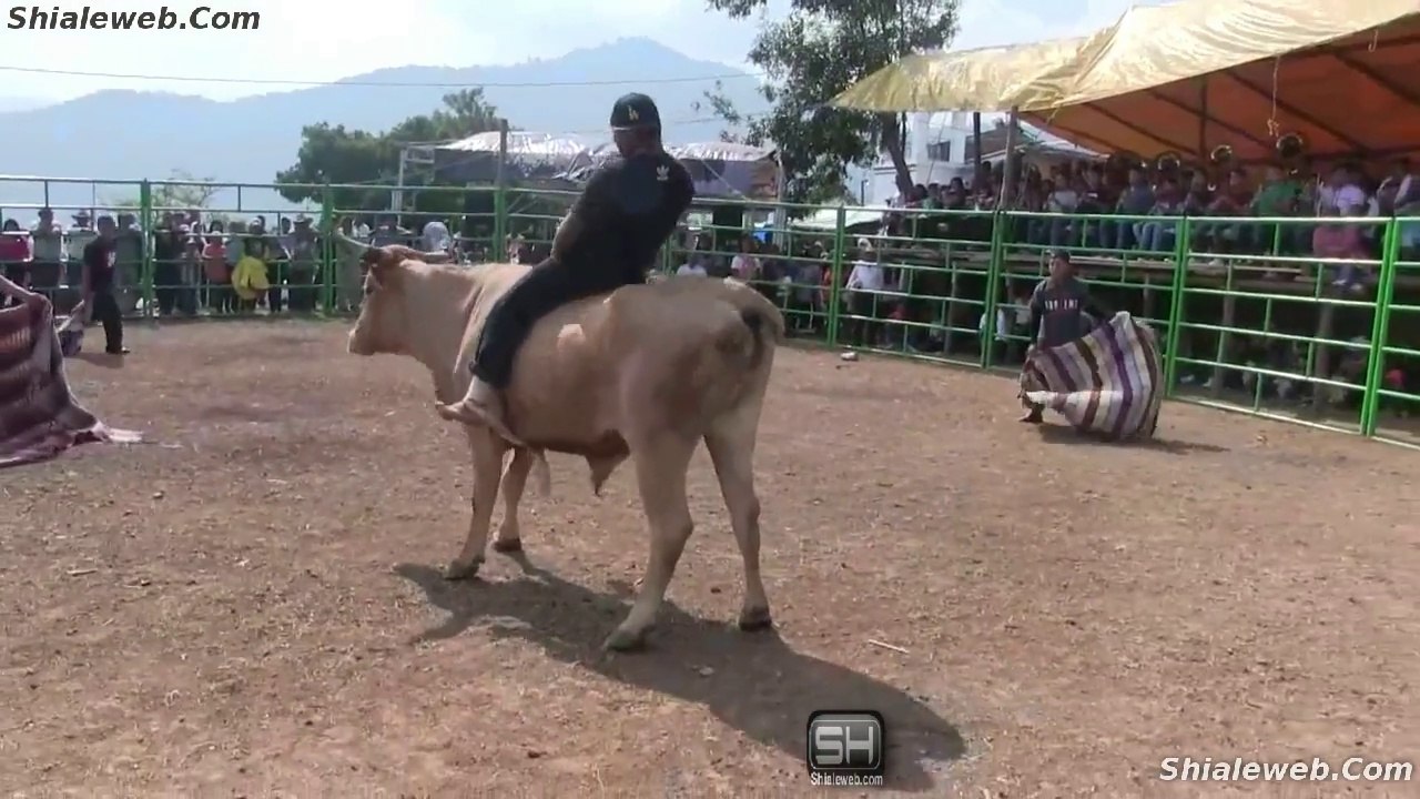 Jaripeo Ranchero Extremo Valientes Jinetes Se Enfrentan A Toros Salvajes De La Mejor Ganaderia