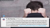 Suicide Rates In The U.S. Have Increased By 30%