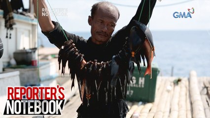 Reporter's Notebook: Sitwasyon ng mga mangingisda sa Scarborough Shoal, tinutukan ng 'Reporter's Notebook'