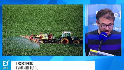 Le mariage coûteux de Bayer et Monsanto