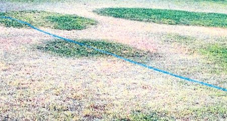 Maddi Sıkıntılar Yaşayan Manisaspor'un Antrenman Sahası Bile Perişan Halde