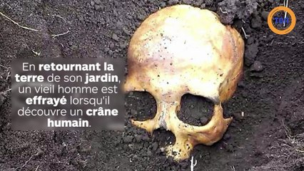 Il fait une étrange découverte dans son jardin