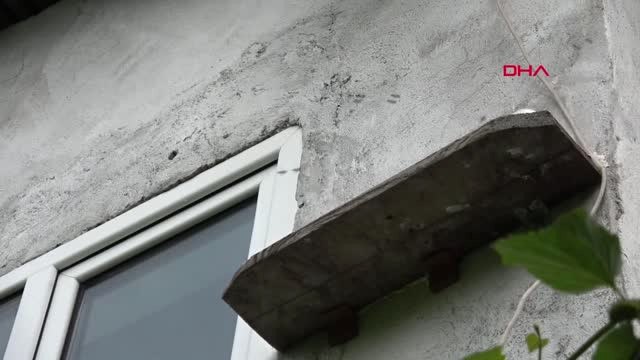 Karabük Evin Odasındaki Cam Kovanda Arıların Bal Yapmasını İzliyor Hd