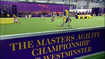 Westminster Kennel Club Dog Show : Masters Agility Championship At Westminster ตอนที่ 5 พากษ์ไทย