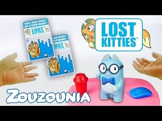 Lost Kitties Toy Surprise Unboxing & First Impression Toys for Kids