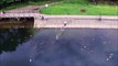 Il n'hésite pas à sauter dans l'eau pour sauver son drone de la noyade