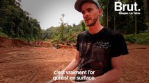 Guerre de l'or en Guyane : les youtubers de la chaîne Le Tatou racontent