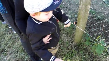 Bebe tombe amoureux de ... - Vlog famille