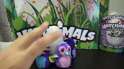 VOUS ÊTES LES 1ers AU MONDE À VOIR ÇA !! • Hatchimals Jumeaux - Studio Bubble Tea Hatchimals twins