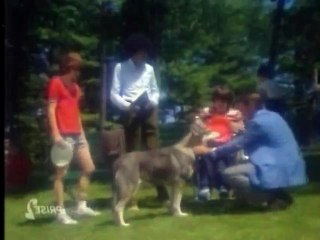 Le Vagabond  S1 10 La Chaise Roulante