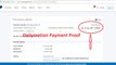 Dailymotion  Partner Program Paid  Me (Dailymotion Payment Proof )