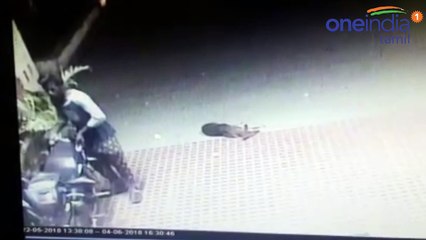 காவல் நிலையத்தில்  திருட்டு...பலே திருடன்...வீடியோ