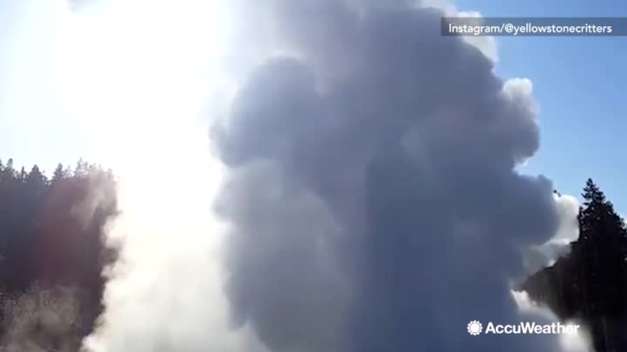 Yellowstone's Steamboat Geyser erupts for the eighth time